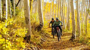 Mountain biking in the fall city area and the many variety's